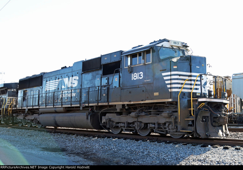 NS 1813